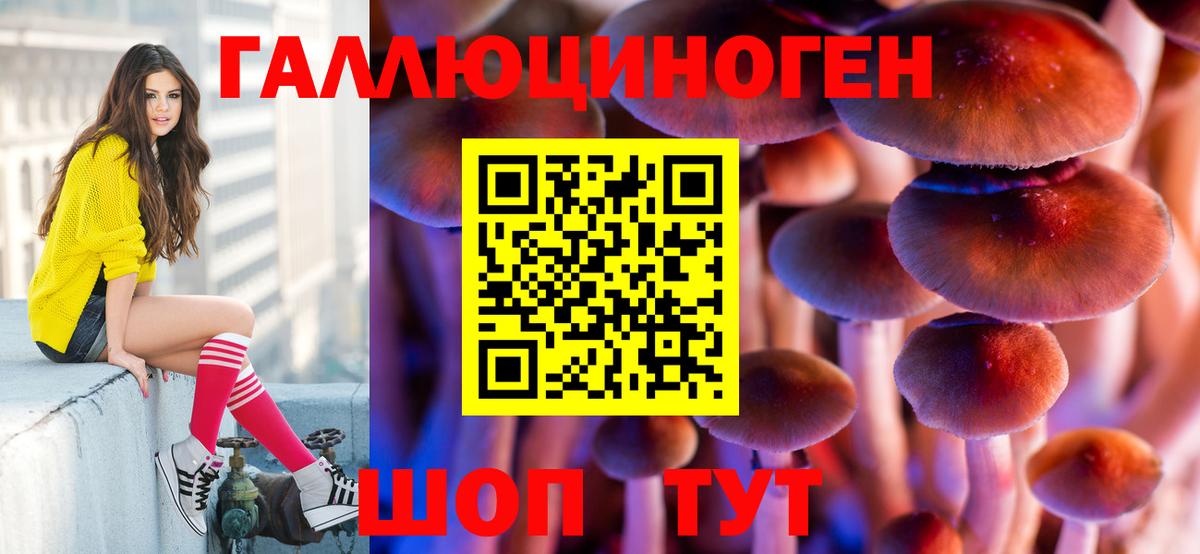 Псилоцибиновые грибы Psilocybine cubensis Ачхой-Мартан