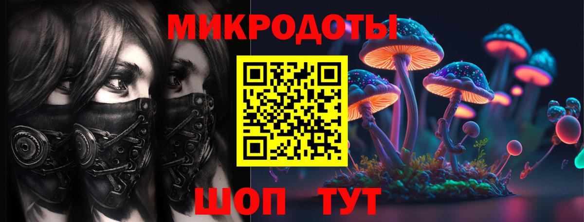 Псилоцибиновые грибы Psilocybe  Галлюциногенные грибы прущие грибы  Вход с VPN  Ачхой-Мартан 